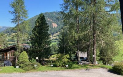 Rekreační apartmán v srdci Bad Kleinkirchheim